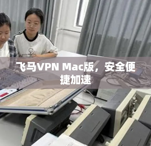飞马VPN Mac版,安全便捷加速