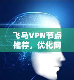 飞马VPN节点推荐，优化网络性能与安全的解决方案