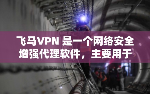 飞马VPN 是一个网络安全增强代理软件，主要用于保护网络安全、隐私防护等。以下是关于飞马VPN软件更新的详细信息