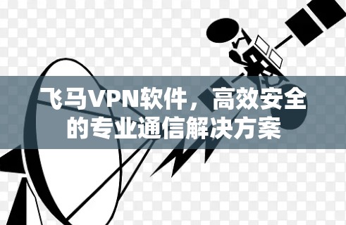 飞马VPN软件，高效安全的专业通信解决方案