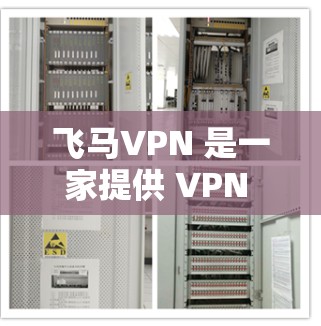 飞马VPN 是一家提供 VPN 服务的公司,主要面向中国用户。以下是一些关于飞马VPN 的推荐和相关信息