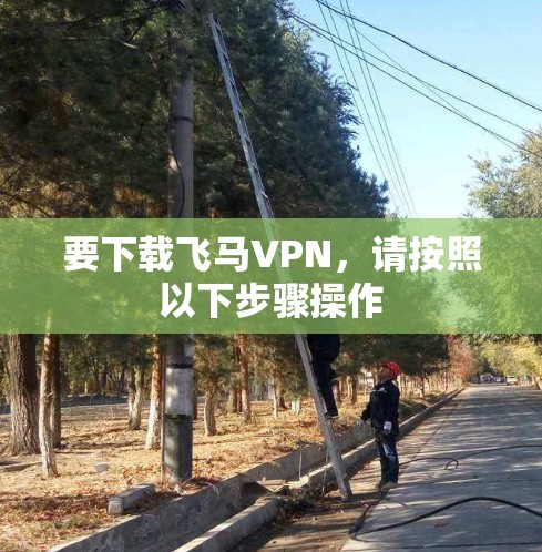 要下载飞马VPN,请按照以下步骤操作