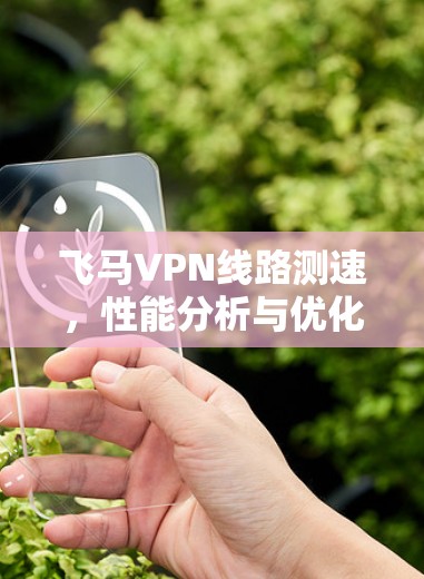 飞马VPN线路测速，性能分析与优化方案