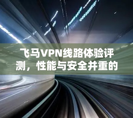 飞马VPN线路体验评测,性能与安全并重的通信解决方案