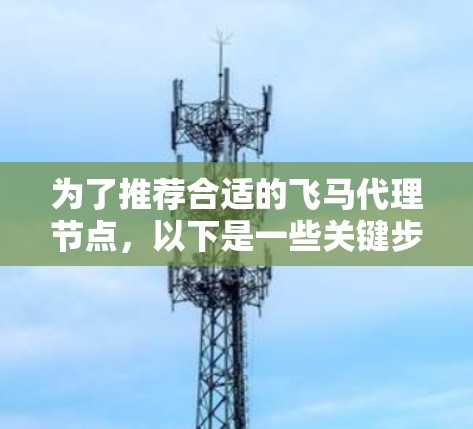 为了推荐合适的飞马代理节点,以下是一些关键步骤和建议