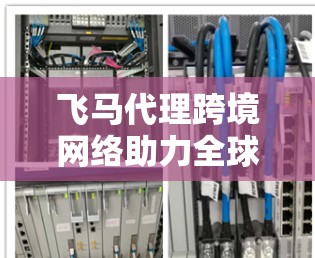 飞马代理跨境网络助力全球拓展