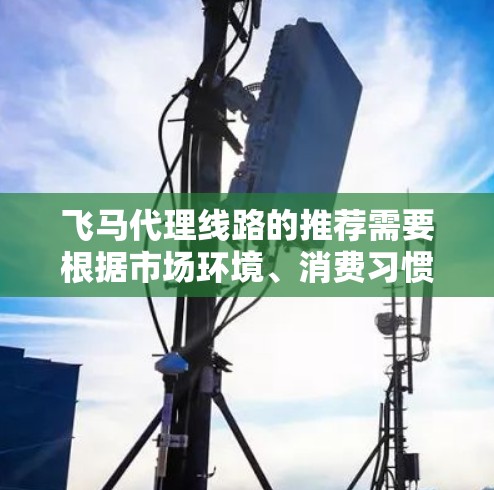 飞马代理线路的推荐需要根据市场环境、消费习惯、区域经济发展等因素进行综合考虑。以下是一些建议和方向