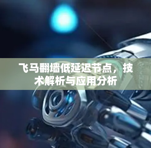 飞马翻墙低延迟节点,技术解析与应用分析
